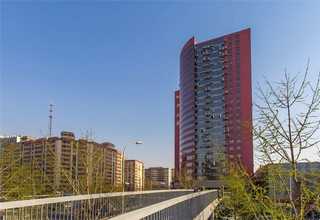 滨湖区常规环厂家现货