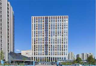 佛山绿色有机米实惠